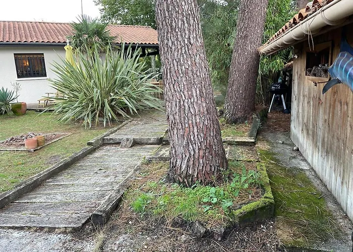 Ideal House For Family Vacations, Peaceful Setting